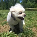 @casper_lambert - Instagram