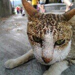 Casper Lau - @ryoohki2000 - Instagram