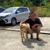 casper lau - @cadper - TikTok