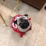 Casper - @casperletsgo - Instagram