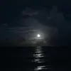 casper - @le.casper - TikTok