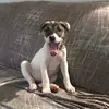 Casper Lee - @the_life_of_casper_lee - TikTok