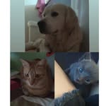leon_casper_chispas - @casper_leon_chispas_3 - Instagram