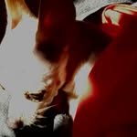 casper longoria - @casperlongoria - Instagram