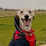 Casperlonglegs - @casperlonglegs - Instagram