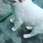 Casper - @casper_._love - Instagram