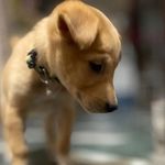 Casper - @casperlove1005 - Instagram