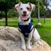Casper Love - Facebook