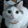 Каспер - @casper_love_ - TikTok