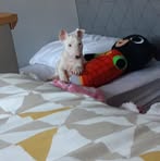 Casper Lowe - Facebook