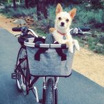 Casper Martinez - @champagnepupppyyy - Instagram