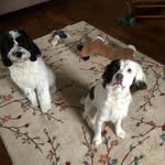 Casper_and sully - @caspermay__20 - Instagram