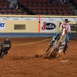@caspermay.performancehorses - Instagram
