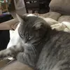 jaspermcdaniel1 - @jaspermcdaniel1 - TikTok