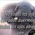 casper_mercado - @anamaria6482729 - Instagram