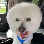 Casper Meyer - @casper_meyer - Instagram