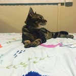 Casper_mohr - @casper_mohr7 - Instagram