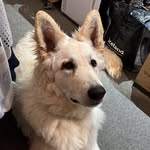 Casper Moore - @caspie_moore - Instagram