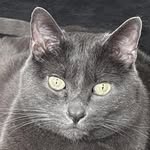 Casper Moore - @realcasper_kitty - Instagram