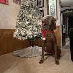 Casper Morris - Facebook