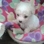 Casper Ortega - Facebook