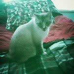 Casper Ortiz - @casper_ortiz4 - Instagram