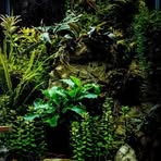 Casper Palmer - Facebook
