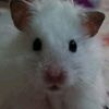 Casper<8 - @casperparker3 - TikTok