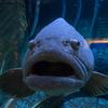 Casper Parker-Evans - @casper.parkerevan - TikTok