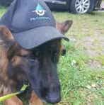 Casper Petersen - Facebook