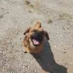 Casper Petersen - @casper._thedog - Instagram