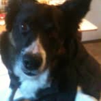 Casper Poole - Facebook