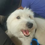 casper !! - @casper_ramirez3 - Instagram