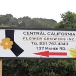Casper Ramirez - @cencalflowergrowers - Instagram