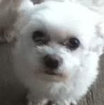 Casper Randolph - Facebook