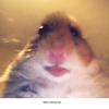 Casper Rasmussen - @moffe0901 - TikTok