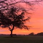 Casper - @casper.rice08 - Instagram