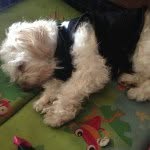 Casper - @casper_rivera2 - Instagram
