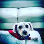 casper rivera - @casper7497 - Instagram