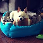 Casper Rodriguez - @casperrodriguez2013 - Instagram