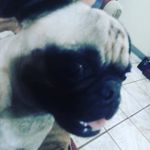 Casper Rodríguez - @caspe_rino - Instagram