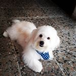 Casper Rodriguez Amendola - @casper_15gram - Instagram