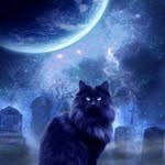 Casper Rose666 - @casper_rose666 - Instagram