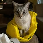 Casper - @casperross21 - Instagram