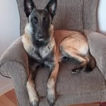 Casper Rossouw - @rossouwcasper - Instagram