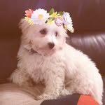 CasperRoss - @casperross1 - Instagram