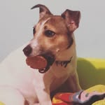 Casper - @casper_russell - Instagram