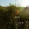 RussellCasper6573 - @russellcasper6573 - TikTok