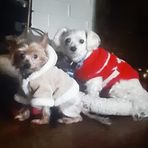Casper Sanders - Facebook