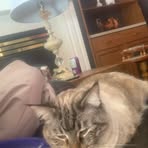 Casper Simpson - Facebook